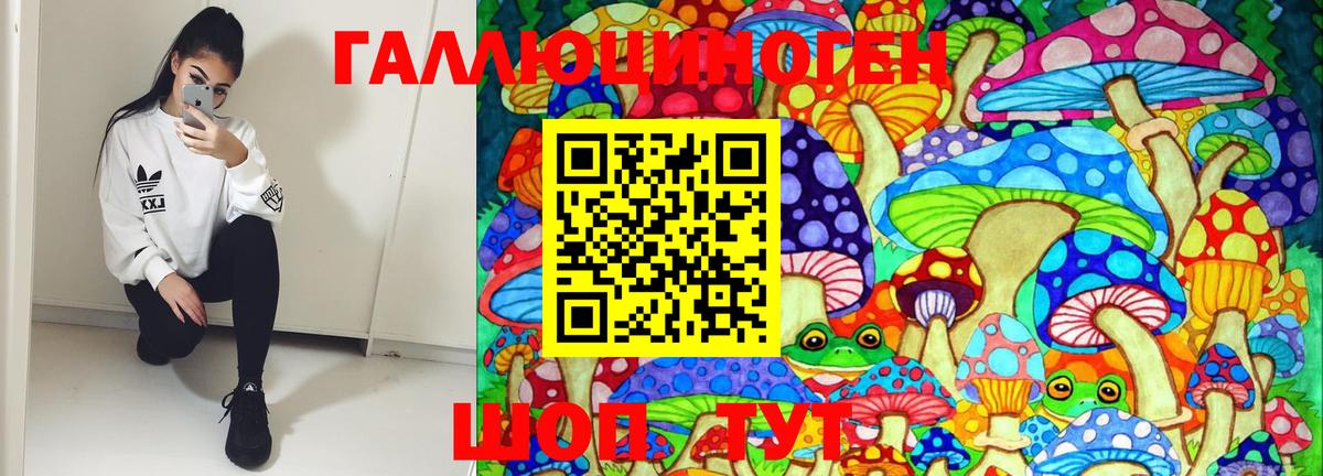 Шебекино  даркнет сайт  Вход с VPN  Галлюциногенные грибы MAGIC MUSHROOMS 